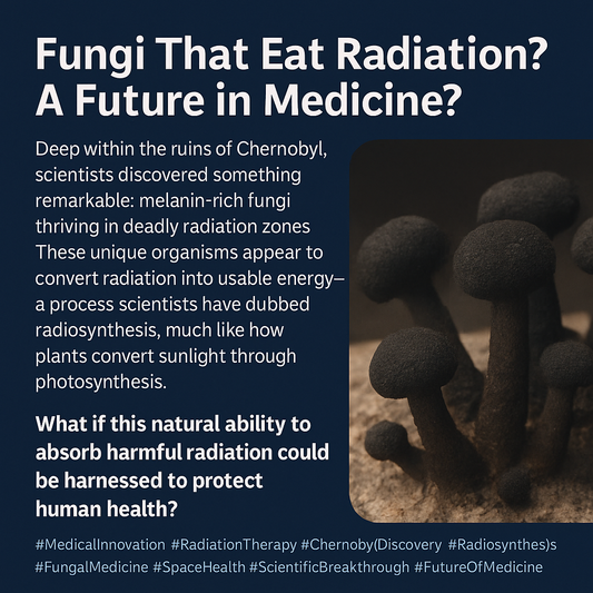 Fungi That Eat Radiation? Exploring the Medical Potential of Chernobyl’s Resilient Lifeform
