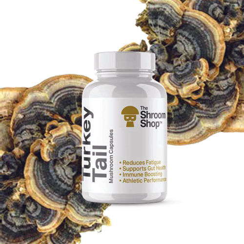 Turkey Tail Mushroom Capsules