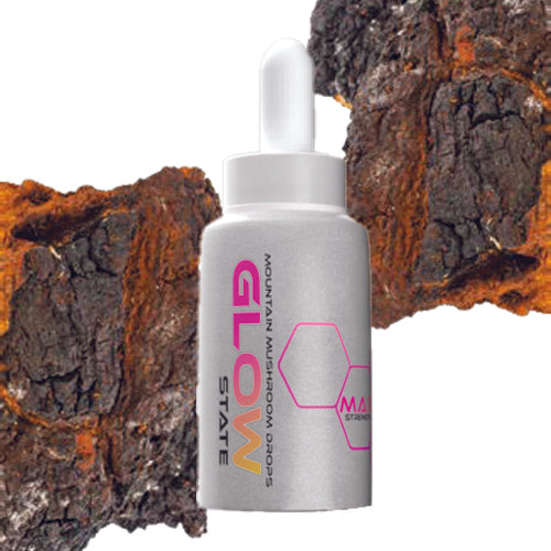 Chaga Dual Extract Liquid
